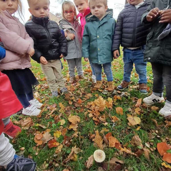 Vlinderklas: het is herfst!