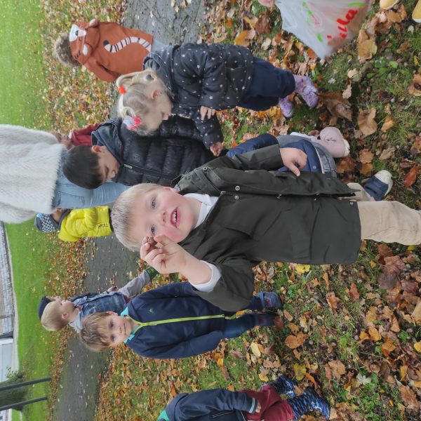 Dolfijnenklas: het is herfst!